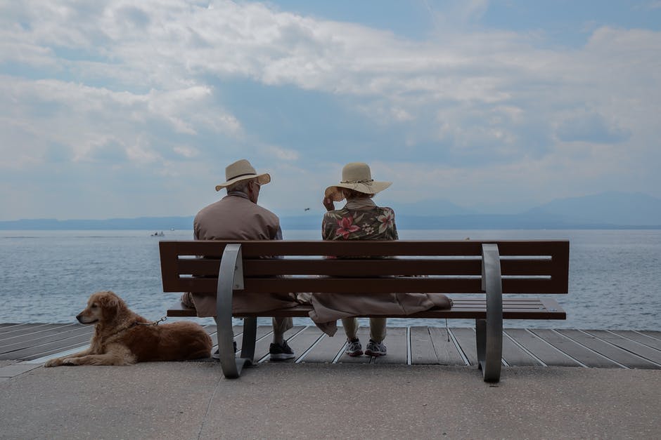 dog with arthritis sitting next to man and woman at beach